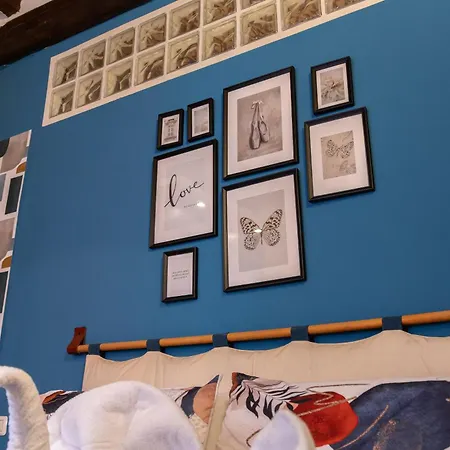 Apartamento Comfort - Freedom Industrial *